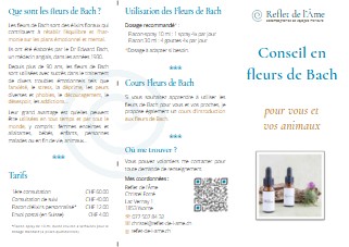 Télécharger Flyer Fleurs de Bach